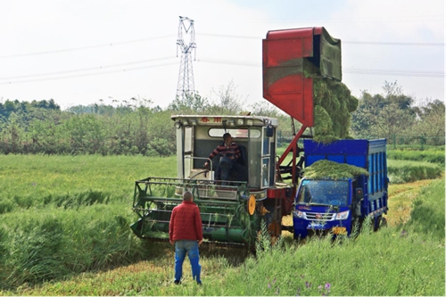 【光影川農(nóng)】春光里的崇州基地